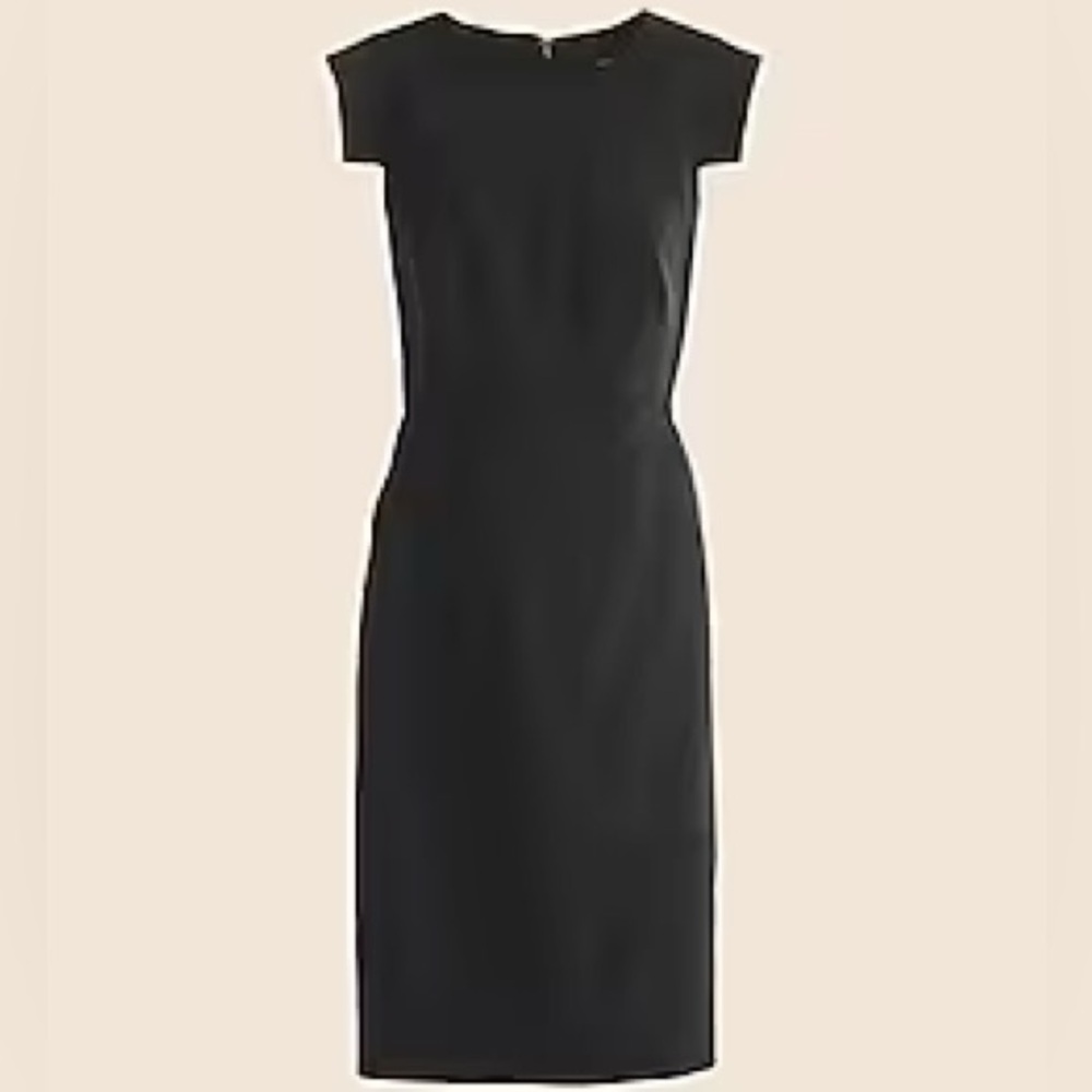 J.Crew Resume Dress